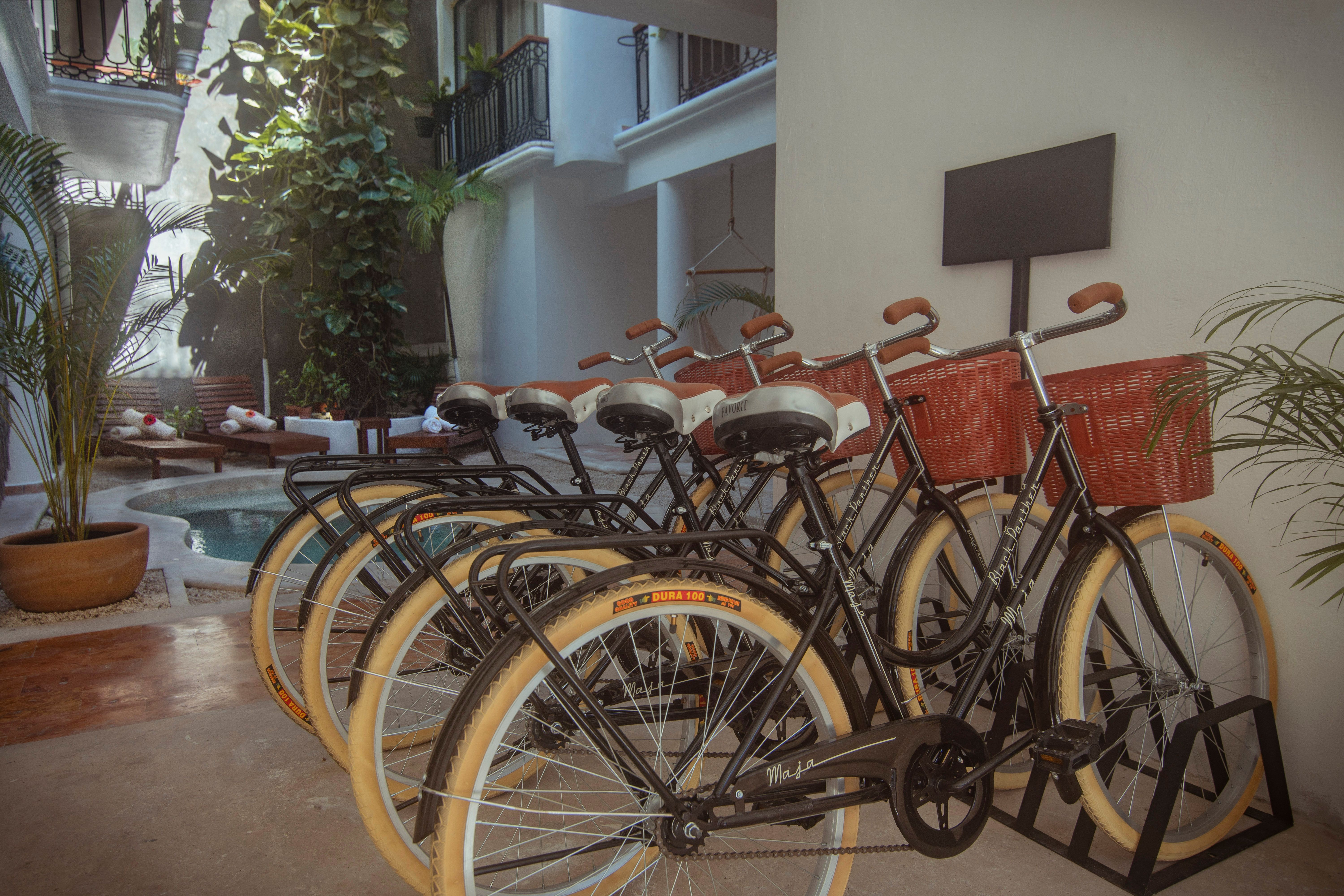 Bikes
