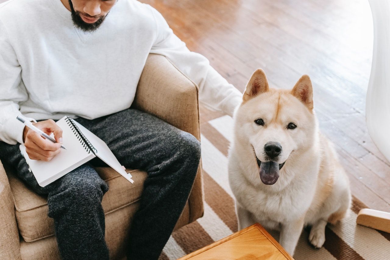 Pet Friendly