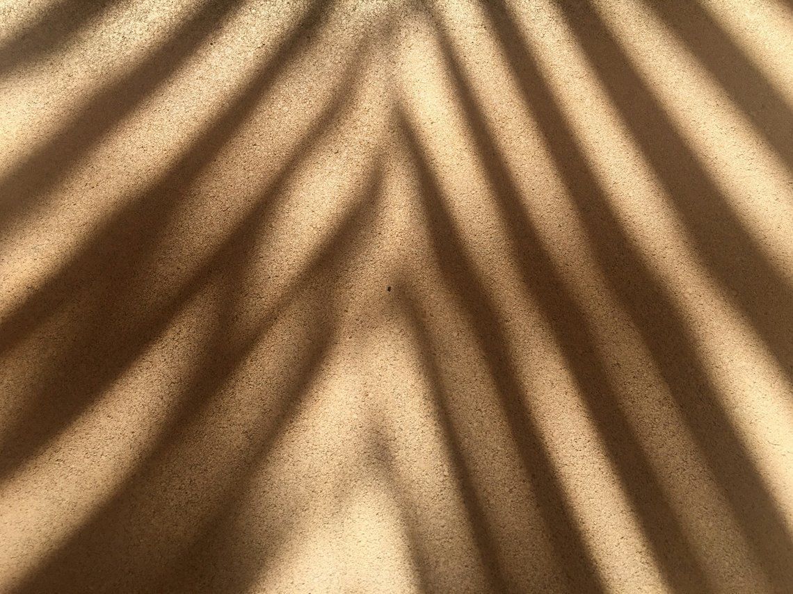Celestun, Sisal