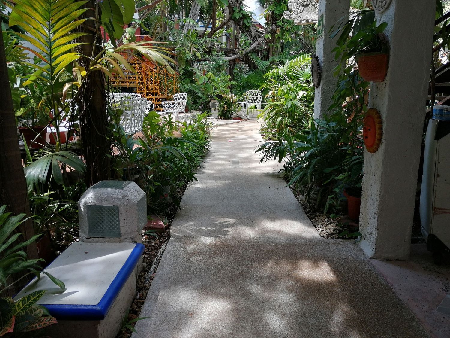 El Rey del Caribe