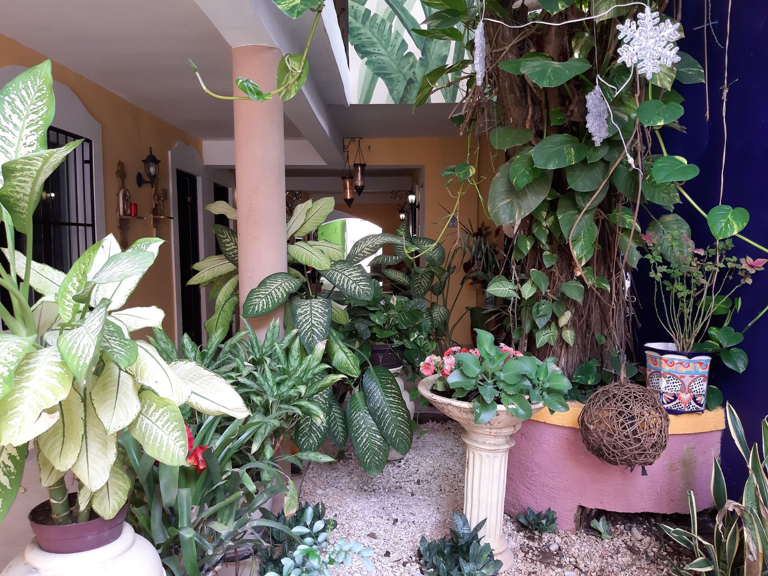 Hotel Palacio Canton