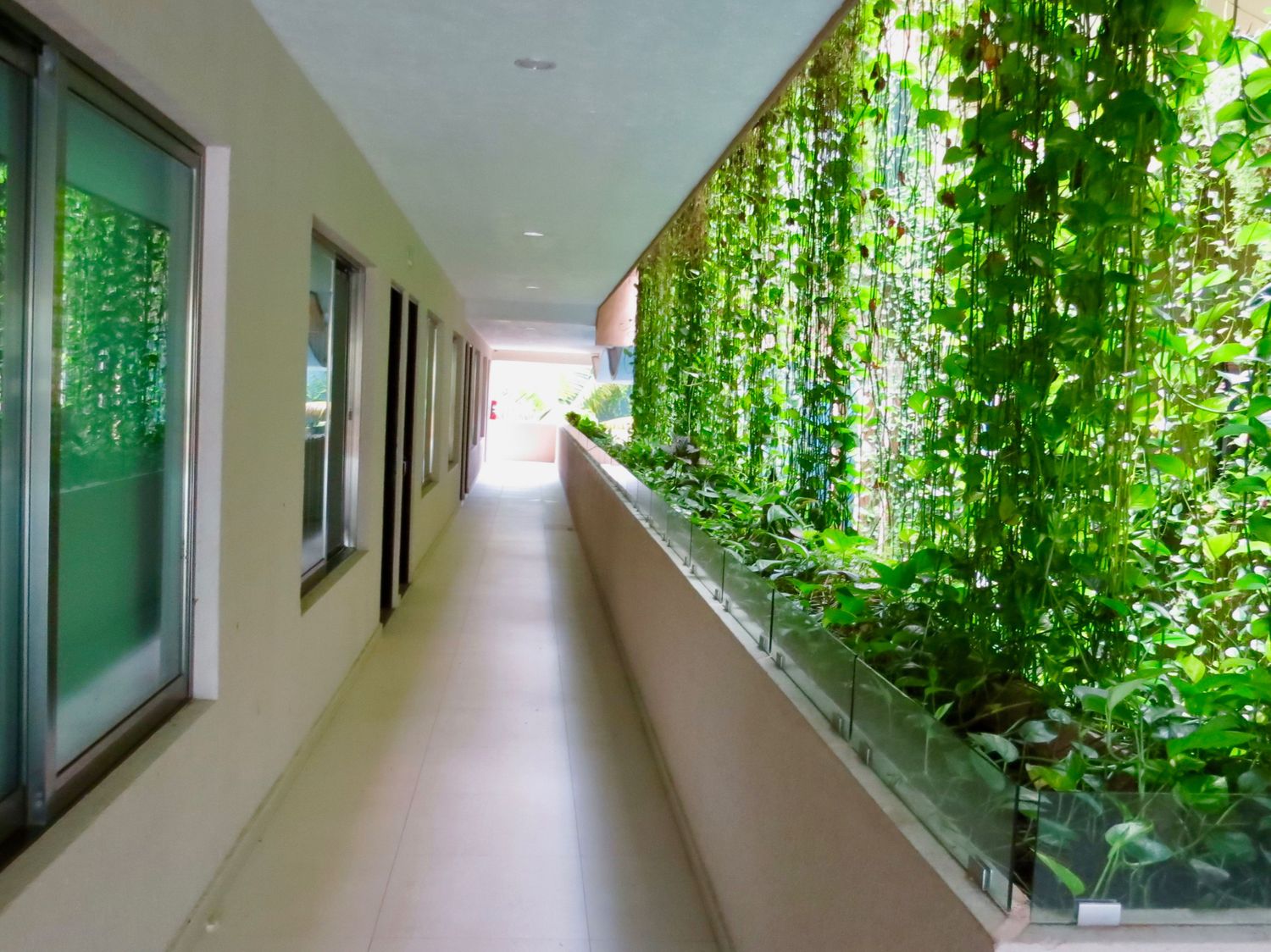 Palmarena Hotel